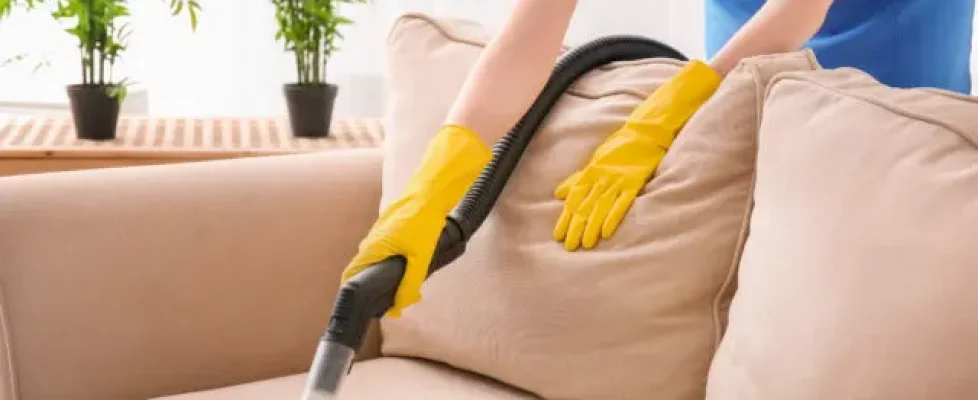6 Upholstery Cleaning Mistakes to Avoid