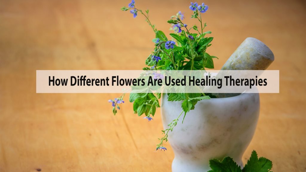 Discover How Different Flowers Are Used In Holistic Healing Therapies