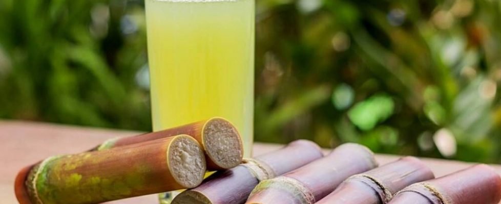 Sugarcane Juice Health Benefits