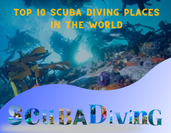 Sea Blue Modern Diving Snorkeling Promotion Facebook Post (1280 × 1000 px)