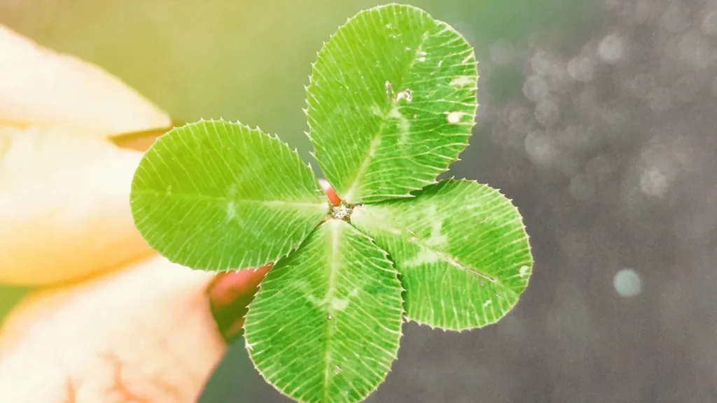 What is Lucky Charm in Business?